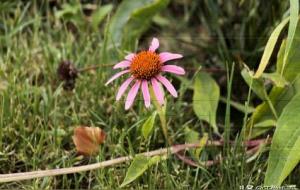 佛说:苦才是人生