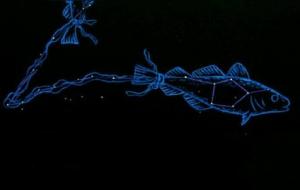 双鱼座的性格优点和缺点