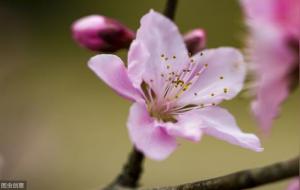 八字用神怎样找（经验心得）