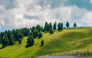 命好的人有三个特点