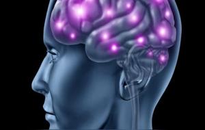 直觉和第六感有什么区别