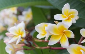 祖传八字常用断事口诀