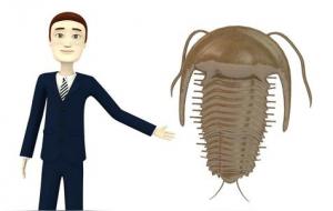 比肩的忌用、比肩临运、比肩流年