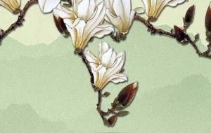 大门口放哪三样比较旺