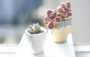 命运是注定的吗（命运是安排好的吗）