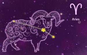 不会倒追男人的星座女