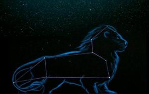 狮子座的性格优点和缺点