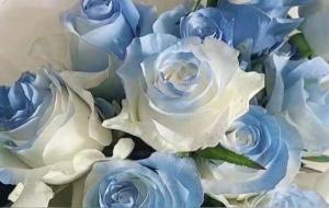 <strong>巨蟹座慢慢不搭理你了</strong>