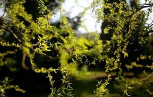 家庭兴旺的条件