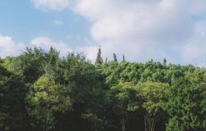 大吉大利一生平安，吉人自有天相