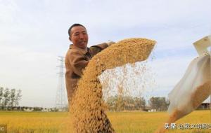 民间传统的看相算命顺口溜