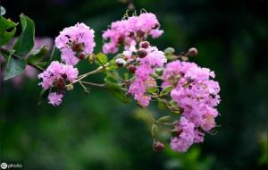 八字论财与功名有关吗