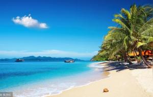 华盖和将星同出现的意思（将星和华盖