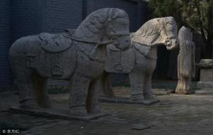 八字中的辰戌丑未四大墓库