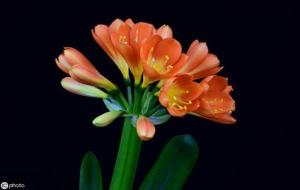 女人二婚八字如何看婚姻