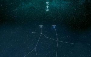 双子座的性格优点和缺点