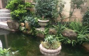 浅谈我对《易经》的认识