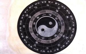 天干反化的条件(天干合而不化)