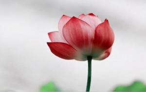 双子座有哪些优点（双子座太迷人了）