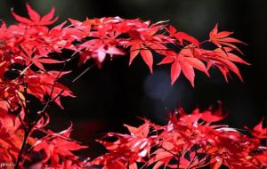 流年断事的技巧50条