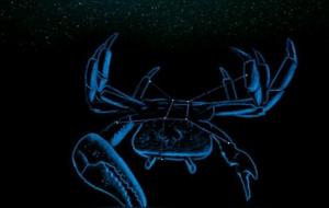 巨蟹座的性格优点和缺点