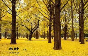 未时出生好不好（未时生男女运势分析）