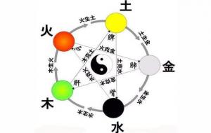 八字中的气是什么