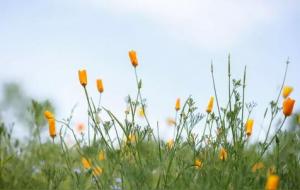 生活是修行最好的道场