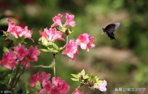 偏财与其它十神的关系