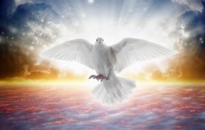 八字四凶神是什么