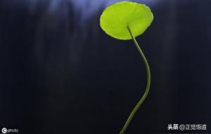 佛前不能求的10件事