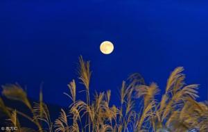 阳刃取运和建禄月劫取运