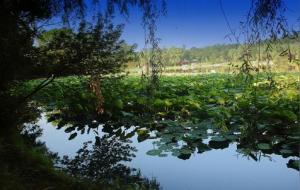 日主为水，生于春天夏天秋天冬天吉凶祸福