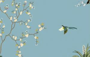 天选之女的特征