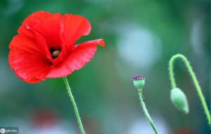 八字断事技巧50条