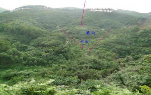 辞世亲人的坟墓应如何安置