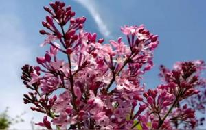 从天干五合谈人与人之间的关系