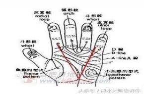 手指发财纹，容易发财的手指头