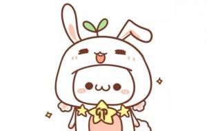 十二生肖招财植物与鱼