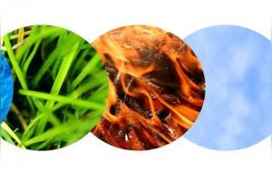 五行缺木职业选择