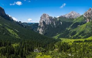 十年大运重要吗