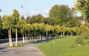 催官运，要想有官运，不妨试试这几招