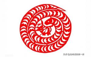 中年不缺钱，晚年长寿的四大生肖