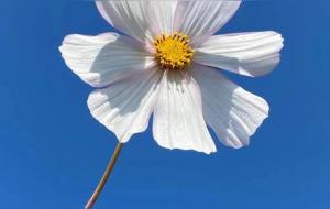 冬至烧纸是当天还是提前