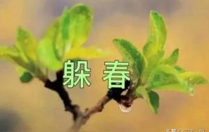 立春可以回娘家吗