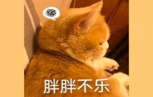 容易发胖的八字特征