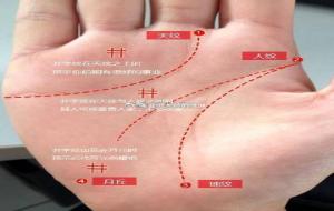 手掌井字纹看富贵命