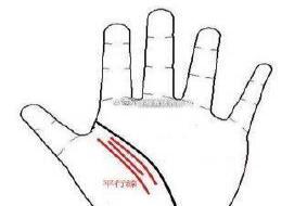 生命线内侧有二三条平行线