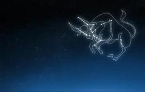 金牛座的生活在感情之上