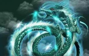 四灵兽关系大揭秘